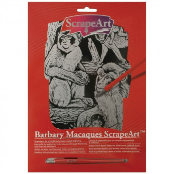 Barbary Macaques ScrapeArt 15 dbbbfbfbffdeba