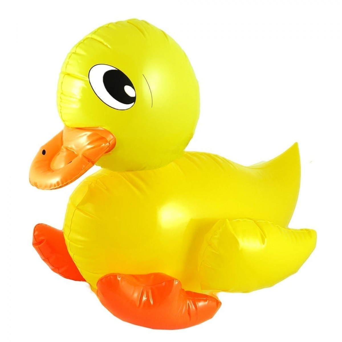 X99-267-duck-1.jpg X duck