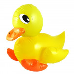 X duck