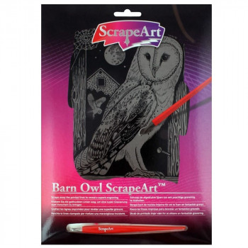 Barn Owl ScrapeArt 16 barn awlesss